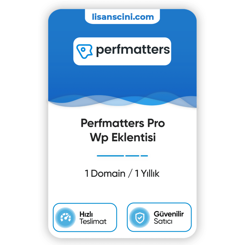 perfmatters-pro-wp-eklentisi